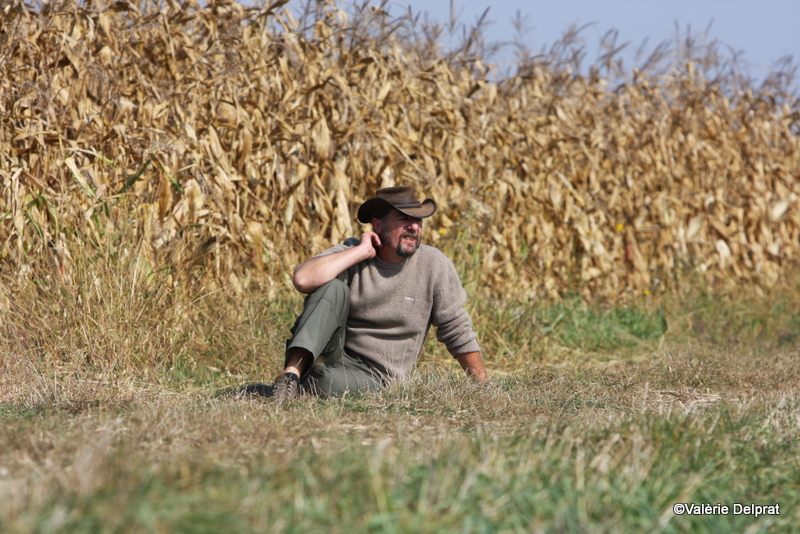 Field Erstein 09 (46).JPG